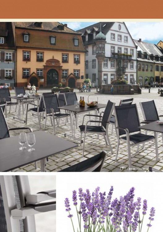 Bildansicht der Seite